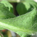 34004_20181001110156_01.JPG