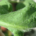 34004_20181001110156_02.JPG