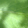 34004_20181001110200_01.JPG