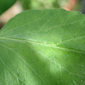 34004_20181001110201_02.JPG