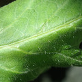 34004_20181001110204_01.JPG
