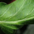 34004_20181001110205_02.JPG
