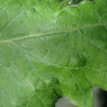 34004_20181001110209_01.JPG