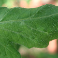 34004_20181001110217_01.JPG