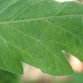 34004_20181001110218_01.JPG
