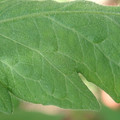 34004_20181001110219_01.JPG
