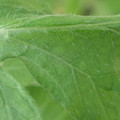 34004_20181001110230_01.JPG