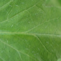 34004_20181001110232_01.JPG