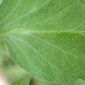 34004_20181001110233_01.JPG