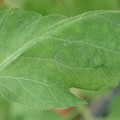34004_20181001110237_01.JPG