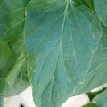 529906_20180115101356_01.JPG