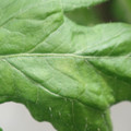 340001_20180604160423_01.JPG