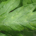 340001_20180604161926_01.JPG