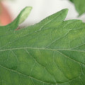 340001_20180604162328_01.JPG