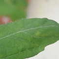 340001_20180604162557_01.JPG