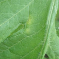 340001_20180608092238_01.JPG