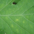 340001_20180608093054_01.JPG