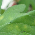 340001_20180608093305_01.JPG