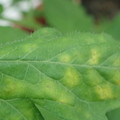 340001_20180608093502_01.JPG