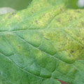 340001_20180608093524_01.JPG