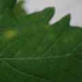 340001_20180608093539_01.JPG