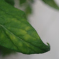 340001_20180608093711_01.JPG