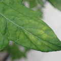 340001_20180608093712_01.JPG