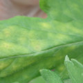 340001_20180608093752_01.JPG