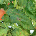 089905_20171117132811_01.JPG