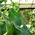 089905_20171117132951_01.JPG