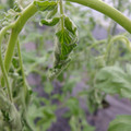529902_20161013143328_01.JPG