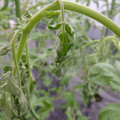 529902_20161013143338_01.JPG