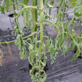 529902_20161013143438_01.JPG