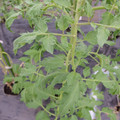 529902_20161013143741_01.JPG