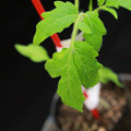 529901_20171027115826_01.JPG