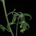 529901_20171124124249_01.JPG