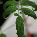 529901_20171124124313_01.JPG