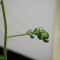 529901_20171124125545_01.JPG