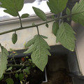 036610_20190215165938_01.JPG