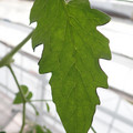 153002_20180925151426_01.JPG
