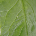 349902_20180202154951_01.JPG