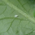 349902_20180213140623_01.JPG