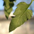 080001_20180306165434_04.JPG