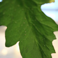080001_20180306165634_04.JPG