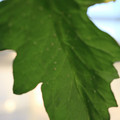 080001_20180306165634_05.JPG