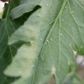 080001_20180306165951_03.JPG
