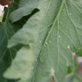 080001_20180306165951_04.JPG