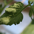 080001_20180315142821_03.JPG