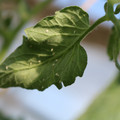 080001_20180315142821_04.JPG