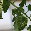 080001_20180315142845_01.JPG
